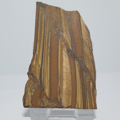 CREATOR: gd-jpeg v1.0 (using IJG JPEG v62), quality = 82